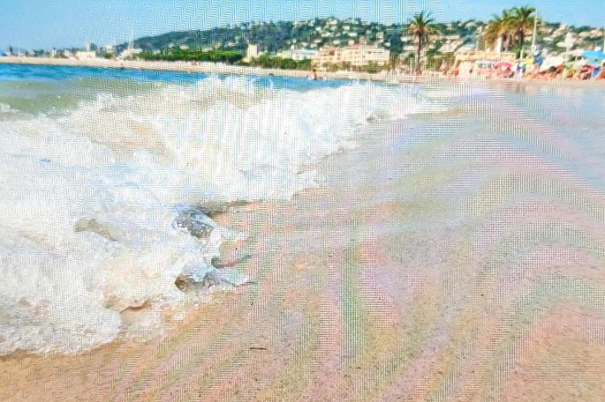 Residence De Vacances Avec Piscine & Transat, A 2 Minutes Des Plages - Bat N2 Валорис Екстериор снимка